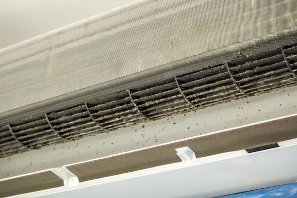 Reliable Dupont, WA Airduct Cleaning Solutions